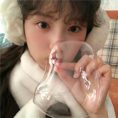 盗贼生涯